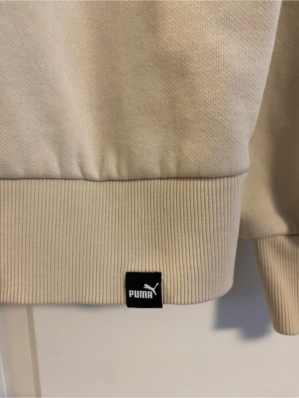 Puma Men's Tan Logo Hoodie in Beige